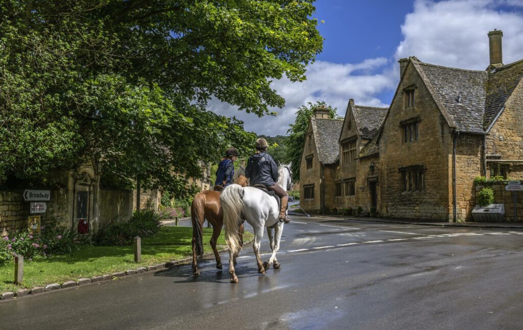 Equine property