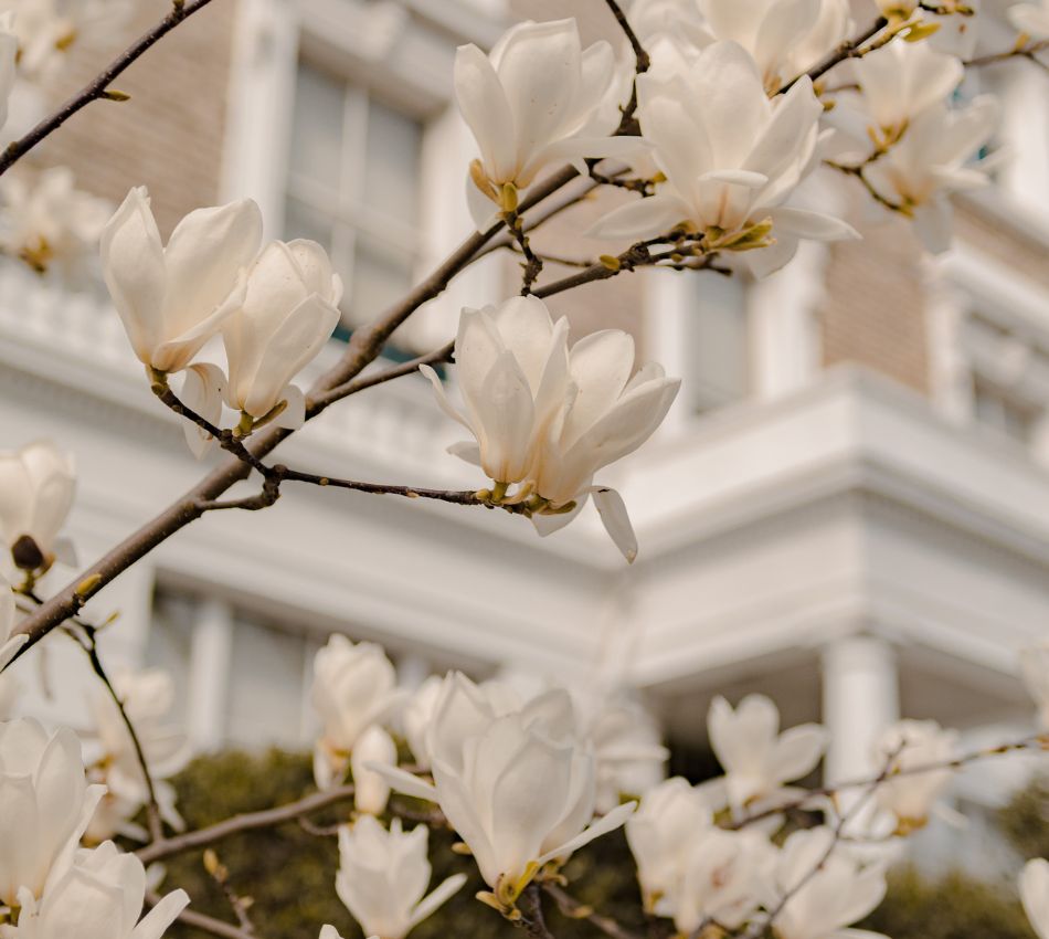 Buying property auction