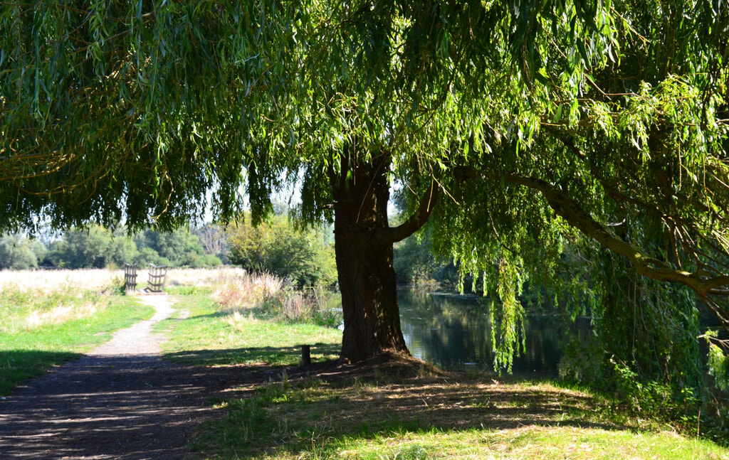 Riverside property Cambridge