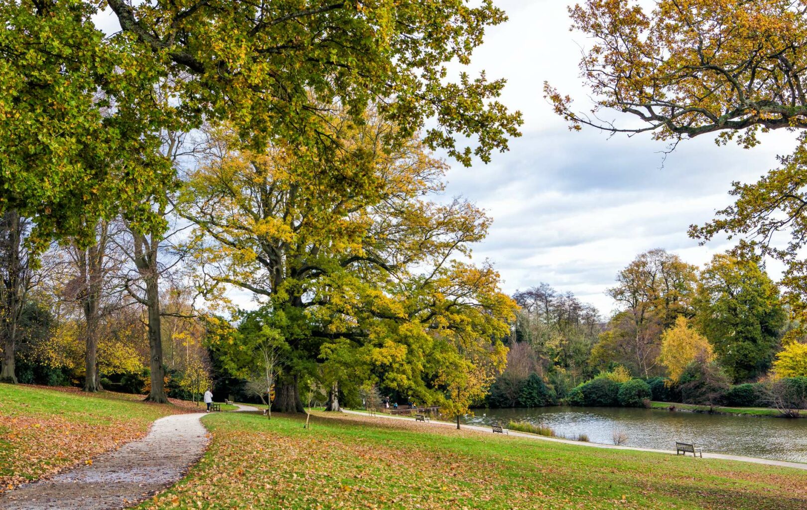 Property Finder Tunbridge Wells Garrington Property Finders (UK)