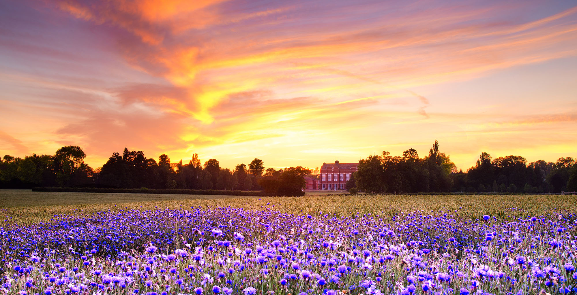 property finders jobs