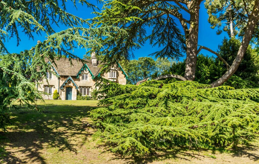 Houses in the woods