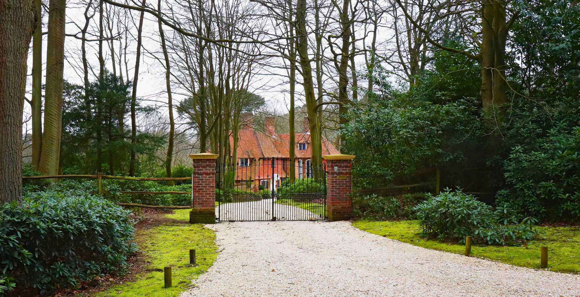 Houses in the woods: What to know before you buy