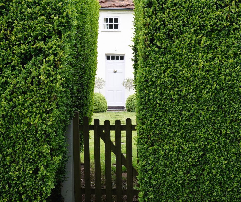 Factors that affect property value