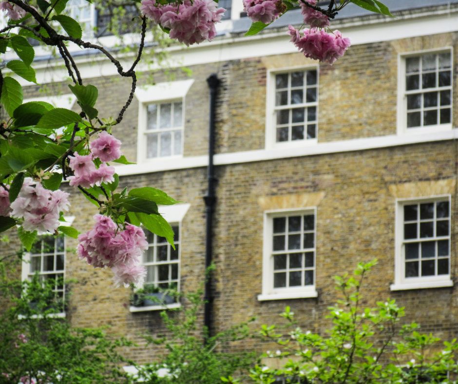 What are searches when buying a property?