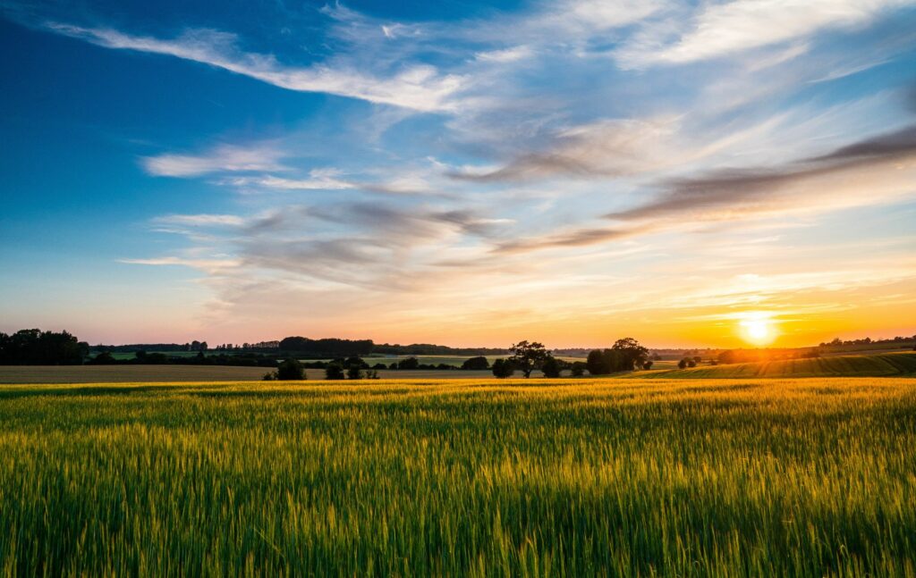 Freckenham, Suffolk