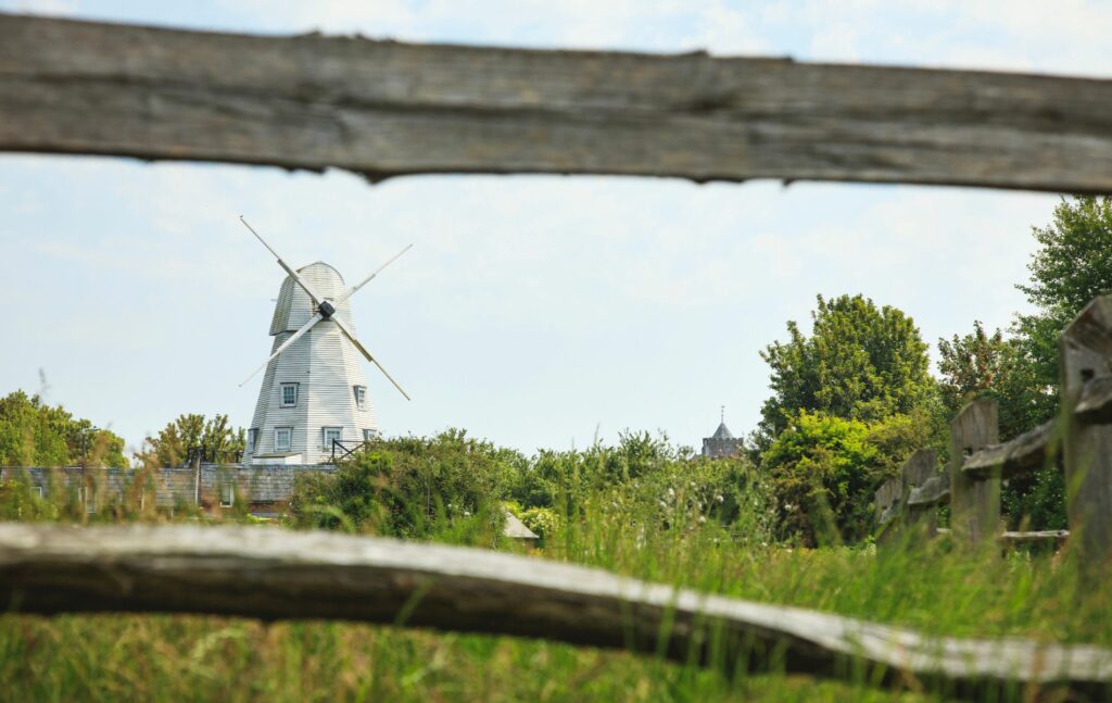 Rye Sussex