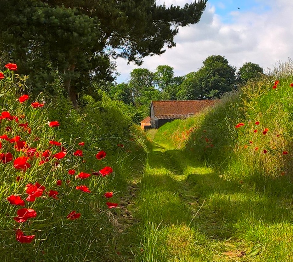 Public footpath next to house