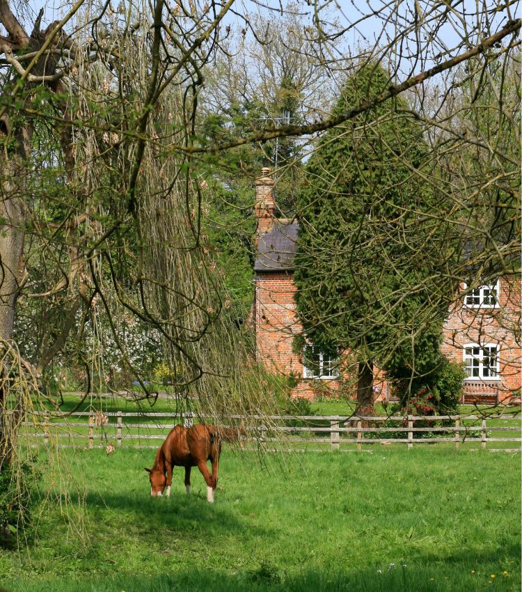 Country Property with Stables