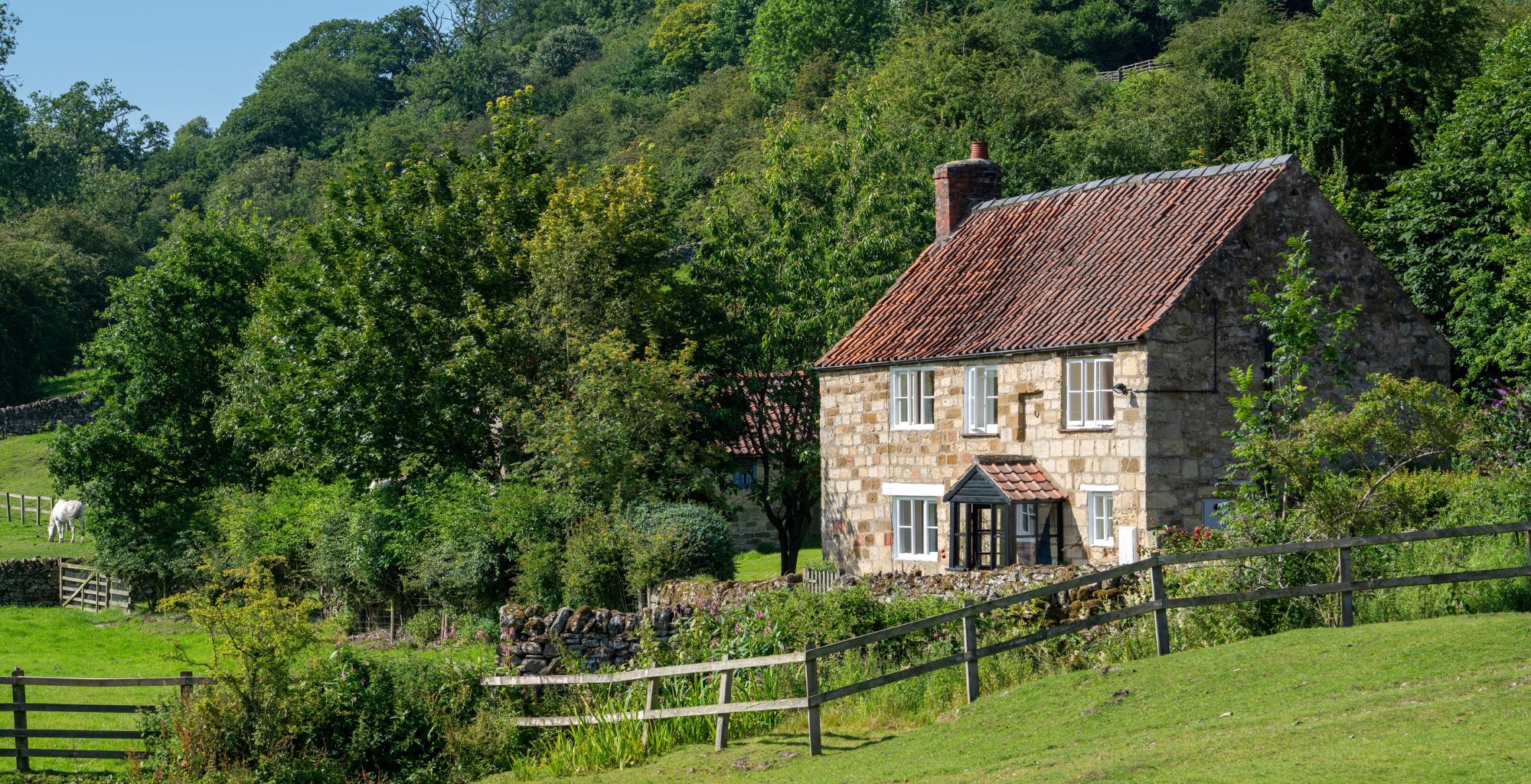 Buying a property with stables: A guide to equestrian homes