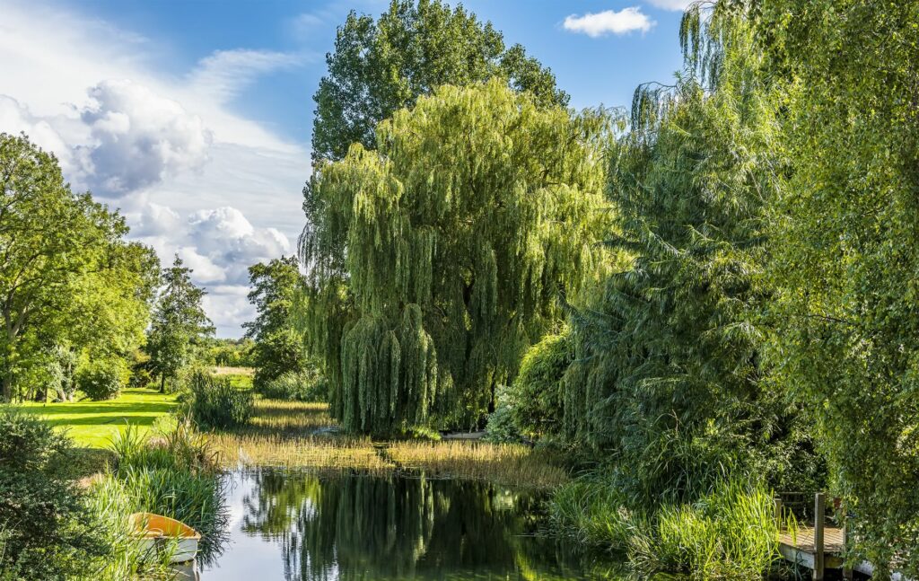 30 minute commute to London