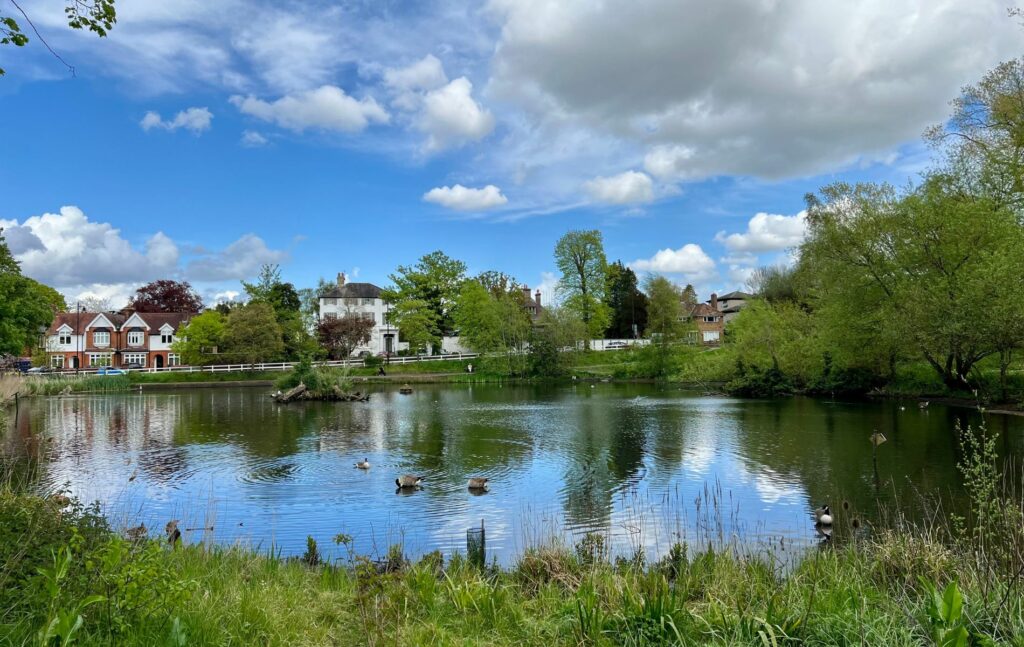 Chislehurst, Bromley