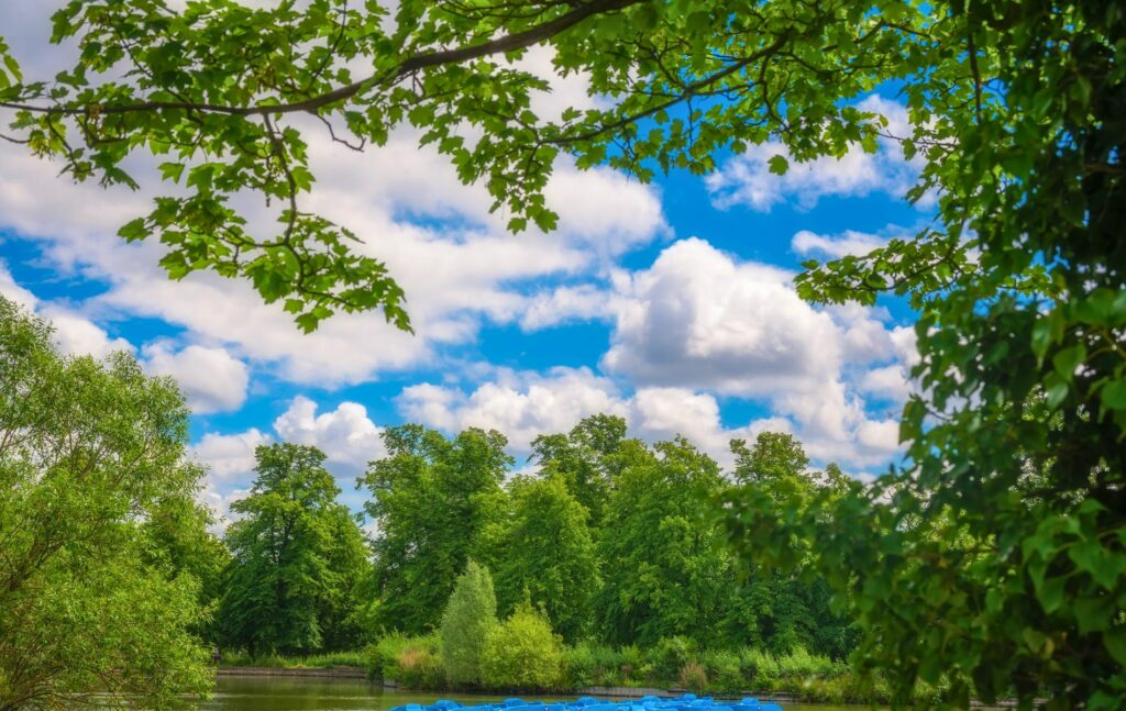 Small boating lake pond at Crystal Palace Park