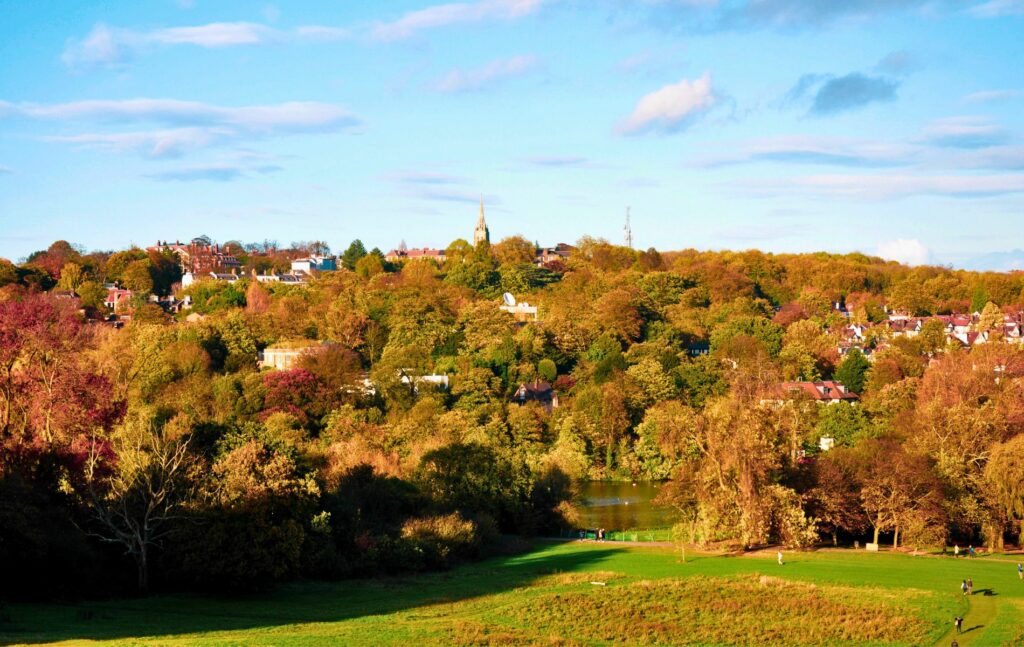 Highgate view from Hampstead Heath