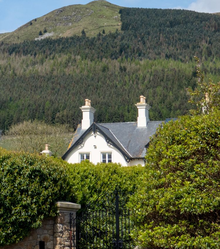 Northern Ireland Property Finder